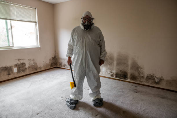 Mold Documentation for Insurance Claims in Los Alamitos, CA